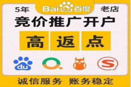 百度竞价代理实战技巧：经典案例深度解读